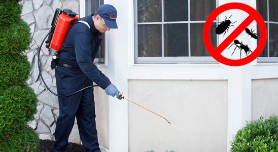 Durağan Hamam Böceği İlaçlama böcek ilaçlama ve haşere kontrolü — ilaclama-tr.com